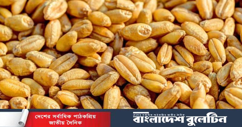 বেশি দামে যুক্তরাষ্ট্র থেকে গম কিনবে সরকার