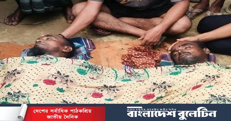 অবৈধ বিদ্যুৎ লাইন টানতে প্রাণ গেল দুই সহোদরের