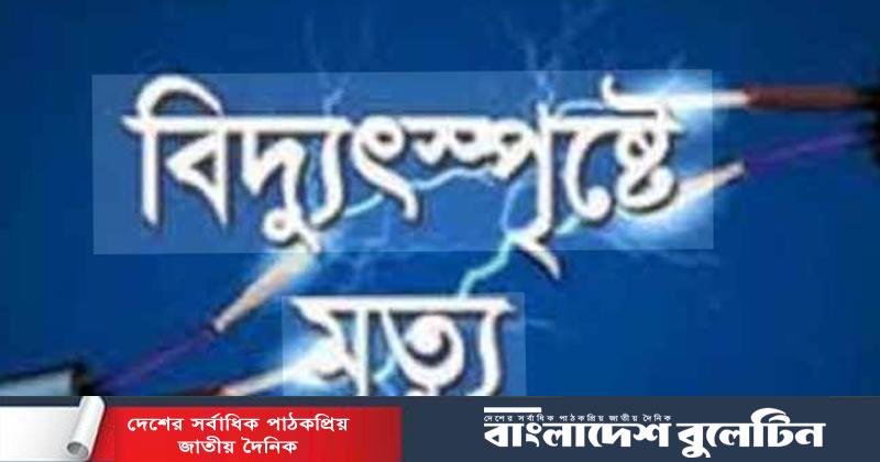 বিদ্যুৎ চালু রেখেই লাইনের কাজ প্রাণ গেল ২ শ্রমিকের