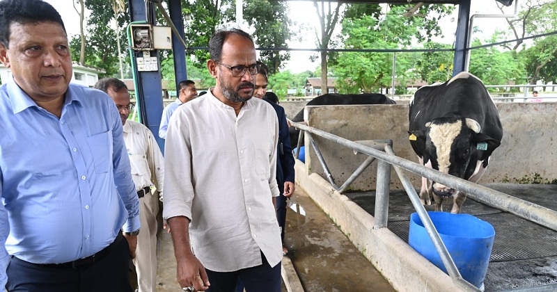 দেশী জাতের গবাদিপশু উন্নয়নে কার্যকর পদক্ষেপ নেওয়া হবে: প্রাণিসম্পদ প্রতিমন্ত্রী
