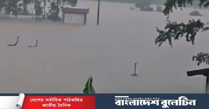 বন্যার পানিতে ভেসে গেল ৯০০ সাপ, লোকালয়ে ছড়াল আতঙ্ক