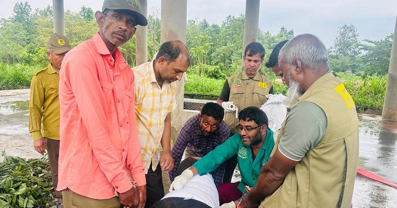 জয়িতার আক্রমণে ভেঙ্গেছে রাজা বাহাদুরের পা, চিকিৎসায় থাই বিশেষজ্ঞ