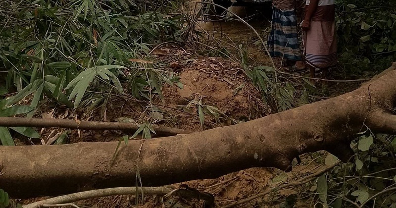 টানা ভারী বর্ষণে শেরপুরে পাহাড় ধস, বন্ধ সীমান্ত সড়ক