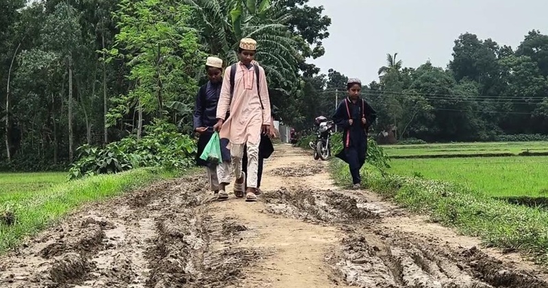 পাকা সড়কের কথা বলে গ্রামীণ সড়কের ইট তুলে বিক্রি, দুর্ভোগে কয়েক হাজার মানুষ