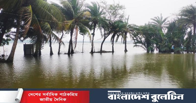 পাইকগাছায় টানা বৃষ্টিতে জলাবদ্ধতায় ভেসে গেছে কোটি টাকার মাছ