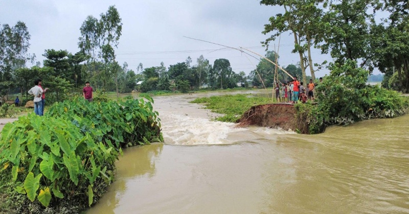 জগন্নাথপুরে সড়ক ভেঙে কুশিয়ারার পানি প্রবেশ, প্লাবিত ১০ গ্রাম
