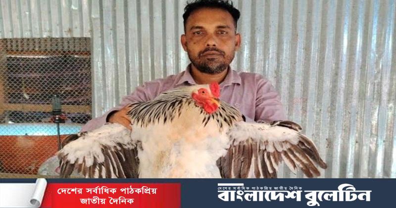 বিদেশি মুরগির খামারে ভাগ্যের চাকা ঘুরিয়েছেন জাহাঙ্গীর