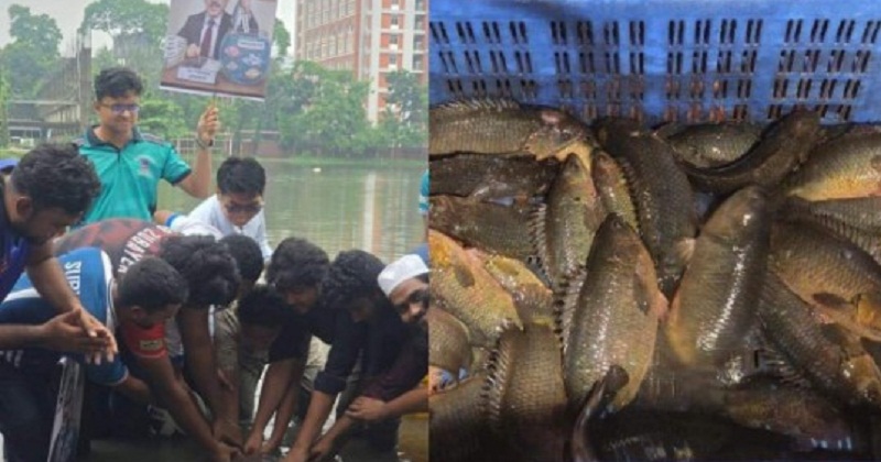 ঢাবির খেলার মাঠে হাঁটুপানি, ক্ষোভে ‘কৈ মাছ’ ছাড়ল ডাকসু!