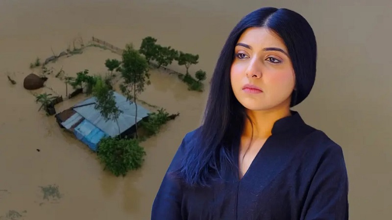 বন্যা নিয়ে উদ্বিগ্ন পড়শী