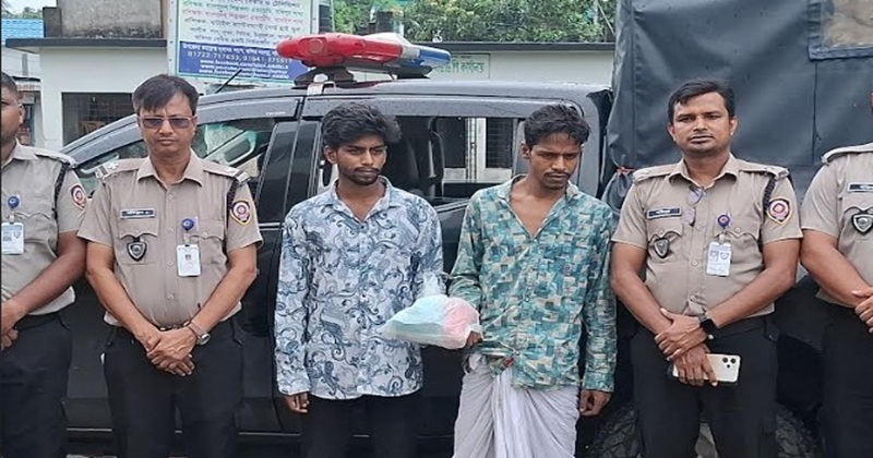 সখীপুরে মাদকবিরোধী অভিযানে ট্যাপেন্টাডল ট্যাবলেটসহ দুই সহোদর আটক