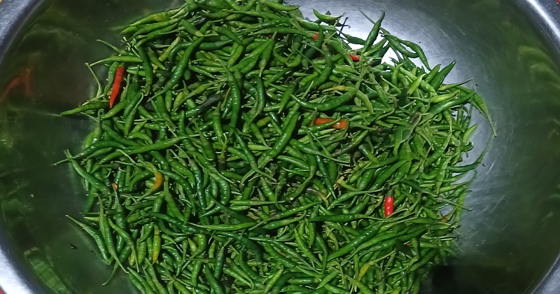 কাঁচা মরিচের কেজি ২০০ টাকা