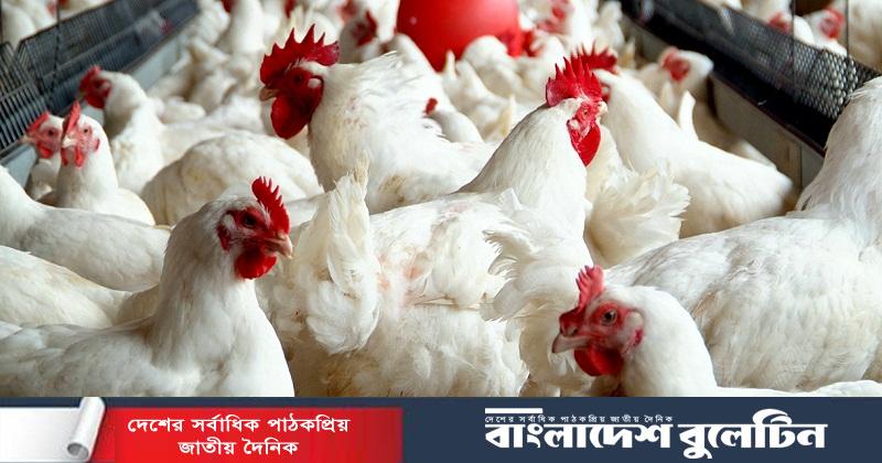 প্রোটিনের উৎস, নাকি নীরব ঘাতক?
