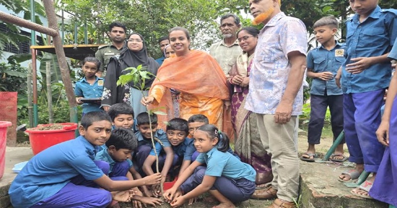 প্রাথমিক শিক্ষা পদক প্রতিযোগীতায় ধনবাড়ীতে বৃক্ষরোপণ কর্মসূচীর উদ্বোধন