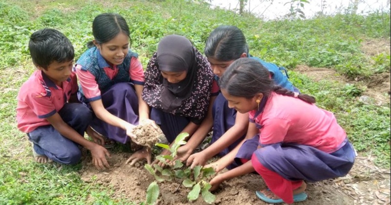 ধামইরহাটে সরকারি প্রাথমিক বিদ্যালয়ে বৃক্ষ রোপণ কর্মসূচি