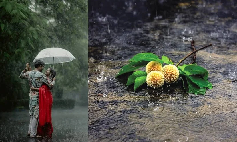 বাদল দিনে কেন ব্যাকুল হৃদয়?