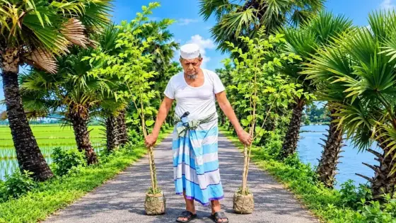 ইমামের হাতে ৩০ বছরের সবুজ বিপ্লব, বদলে গেছে গ্রামের সড়ক