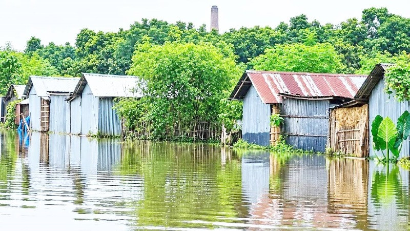 ঘরে ঢুকেছে পদ্মার পানি, রান্না-খাবার নিয়েই দুশ্চিন্তায় হাজারো মানুষ