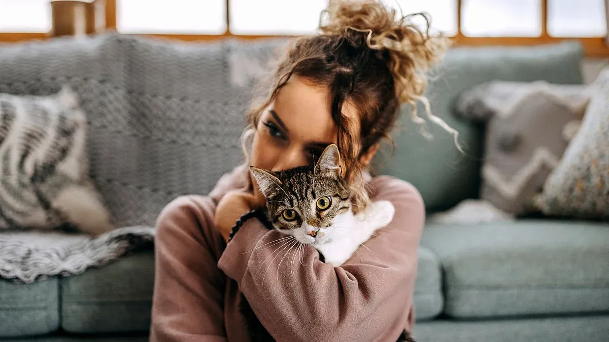 Pet Care Tips: আপনার বিড়াল আপনার সম্পর্কে কী ভাবে? ৫ লক্ষণ দেখলেই বুঝতে  পারবেন নিজে