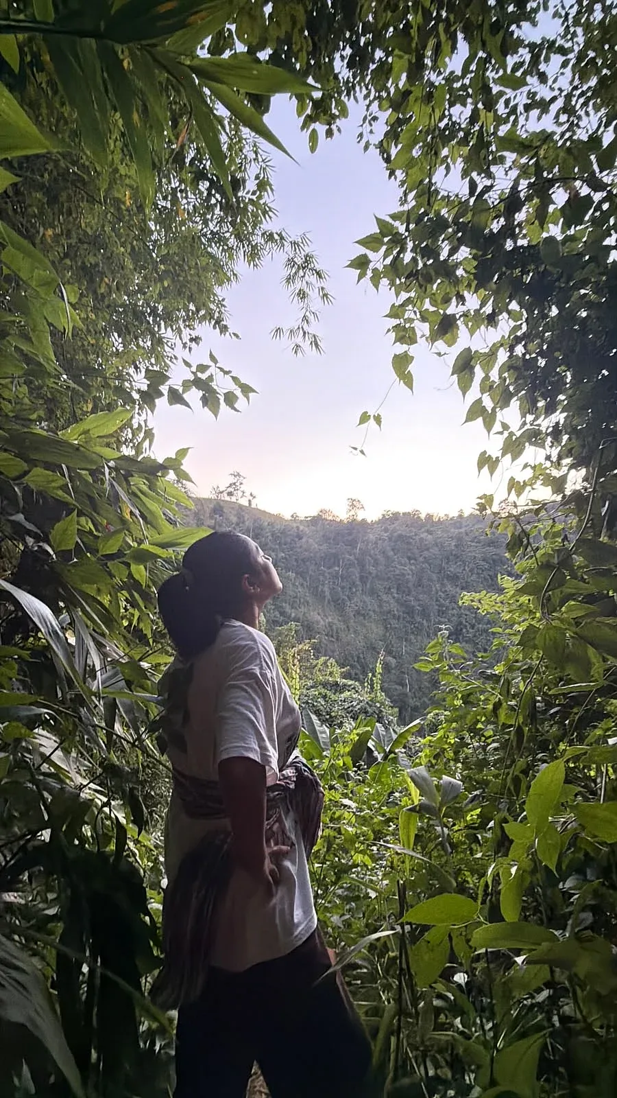 বান্দরবানে মাশা। শিল্পীর সৌজন্যে