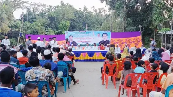 সিরাজগঞ্জে ধানগাছে পাতাপোড়া রোগের লক্ষণ, ফলন বিপর্যয়ের শঙ্কা