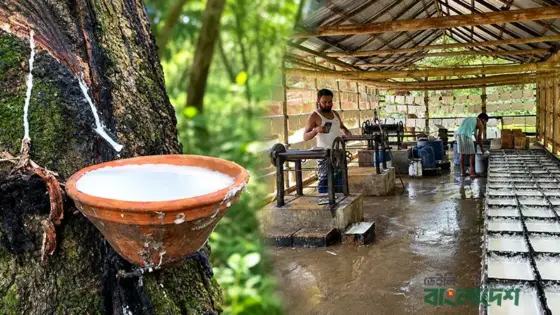 ফোঁটায় ফোঁটায় কোটি টাকার সম্ভাবনা